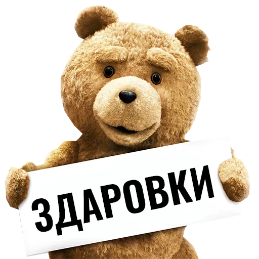 Ted Ted -