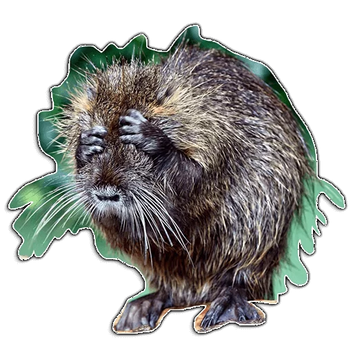 TelcoChatStickers TelcoChatStickers -