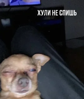 Стикер терпилыoffc - 2