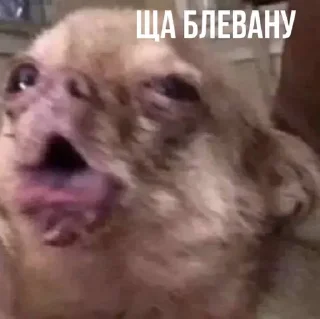 Стикер терпилыoffc - 8