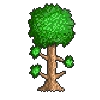 Terraria Terraria -