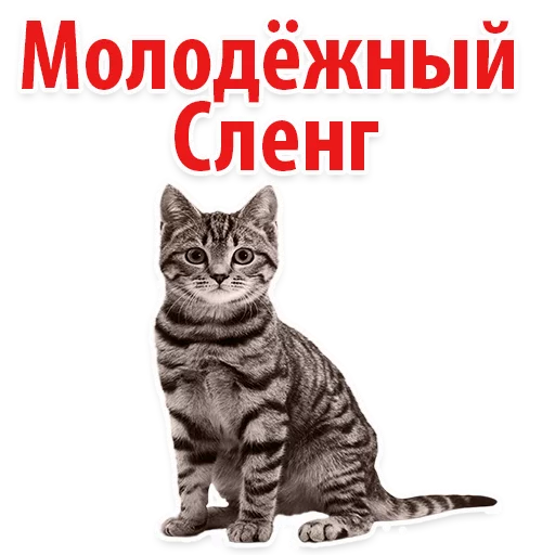 Молодёжный сленг @TuristasTV Молодёжный сленг @TuristasTV -