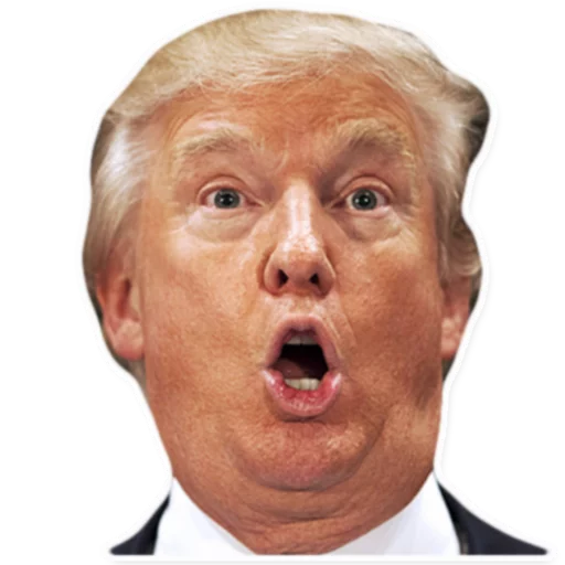 human face human face man chin