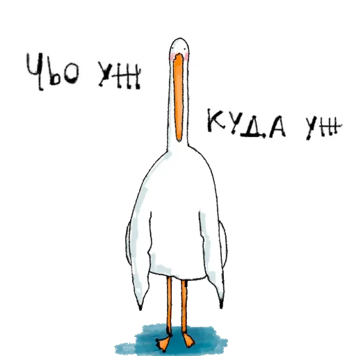 text bird cartoon