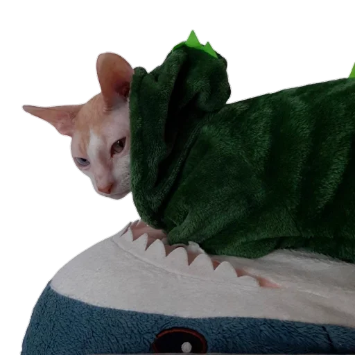 Тигр Тигр -