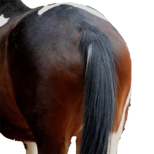 TikhonPack TikhonPack -