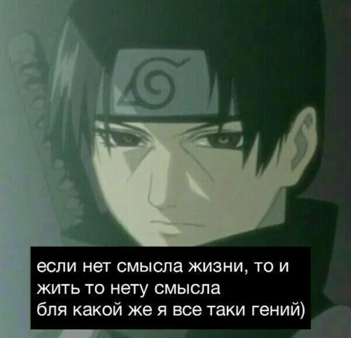 мяу :: @fStikBot мяу :: @fStikBot -