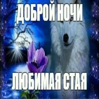 Sticker Точно этот - 5