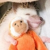 ToxicTheHadgehog ToxicTheHadgehog -