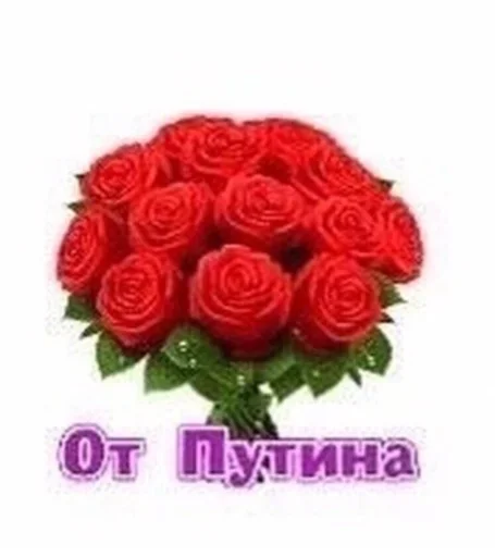 flower flower plant text