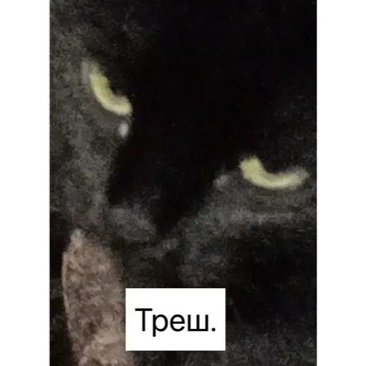 Треш. Треш. -