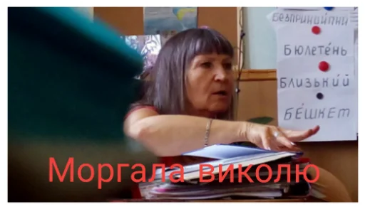 Flexim Flexim -
