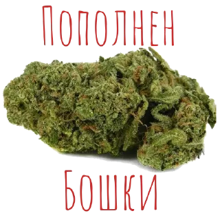 Sticker Мой стикерпак @moyi_stikery_bot - 0