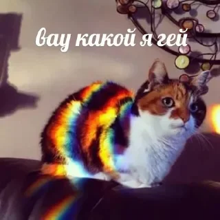 Sticker Больше стиков тут: @stikery4 - 6