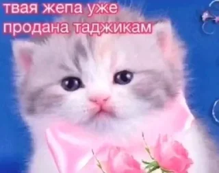 Sticker Больше стиков тут: @stikery4 - 7