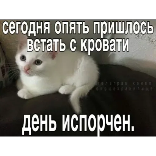 @sticksbb <— больше стиков💓💘💞 @sticksbb <— больше стиков💓💘💞 -