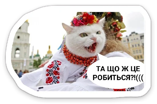 Sticker УКРАЇНОФІЛІЯ АБО СМЕРТЬ! - 0