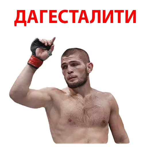 Хабиб Нурмагомедов & Конор Макгрегор Хабиб Нурмагомедов & Конор Макгрегор -