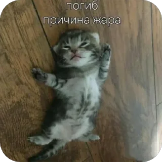 Sticker Больше стиков тут: @stikery4 - 0