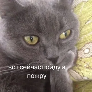 Sticker Жёсткие стикеры - 4