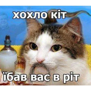 VIEZDY VIEZDY - text