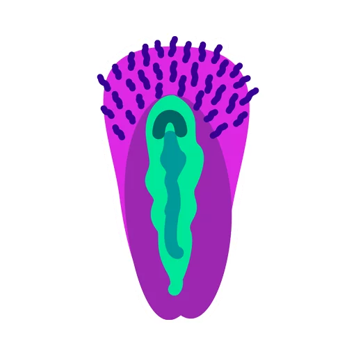 Vaginas Vaginas -