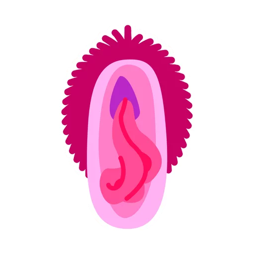 Sticker Vaginas - 0