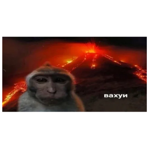 Вахуи Вахуи -
