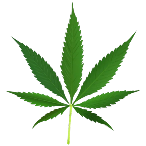 hemp cannabis leaf