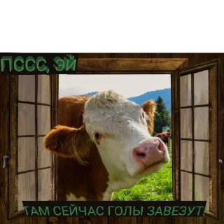Стикер РУБИМ БАБЛО - 1 Стикер РУБИМ БАБЛО - 1