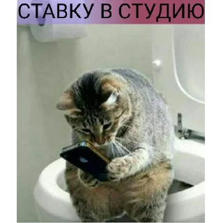 Стикер РУБИМ БАБЛО - 9 Стикер РУБИМ БАБЛО - 9