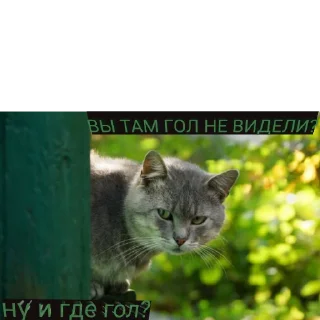 Стикер РУБИМ БАБЛО - 11 Стикер РУБИМ БАБЛО - 11