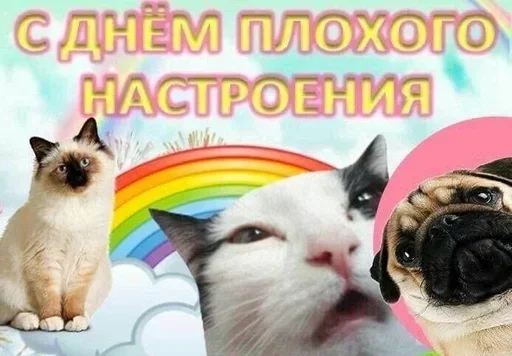 Больше стиков тут: @stikery4 Больше стиков тут: @stikery4 -