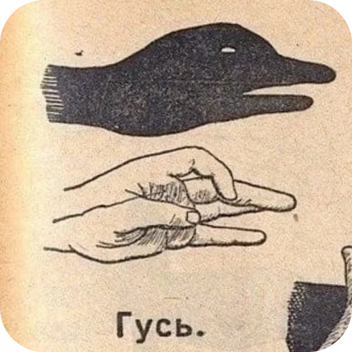 Вото Вото -