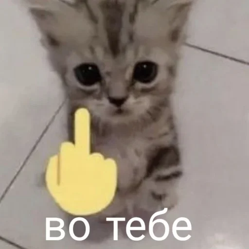 Больше стиков тут: @stikery4 Больше стиков тут: @stikery4 -