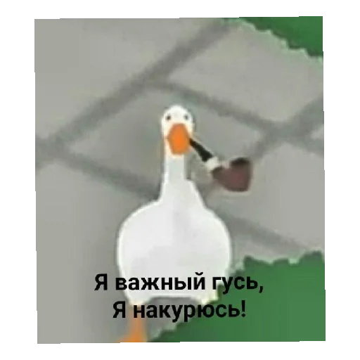 Всякая дичь 5 Всякая дичь 5 -