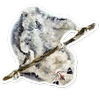 Vulpino Vulpino -