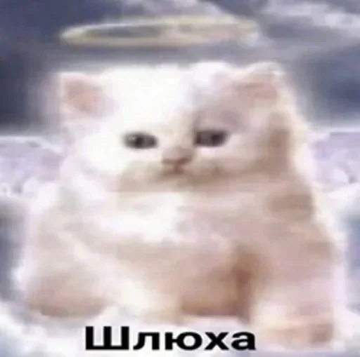 Стикеры тут: @stikeryv Стикеры тут: @stikeryv -