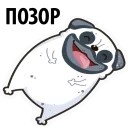 Стикер White Pug @stickersb2b - 1