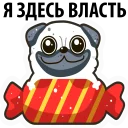 Стикер White Pug @stickersb2b - 8