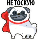 Стикер White Pug @stickersb2b - 11