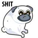 Стикер White Pug @stickersb2b - 5