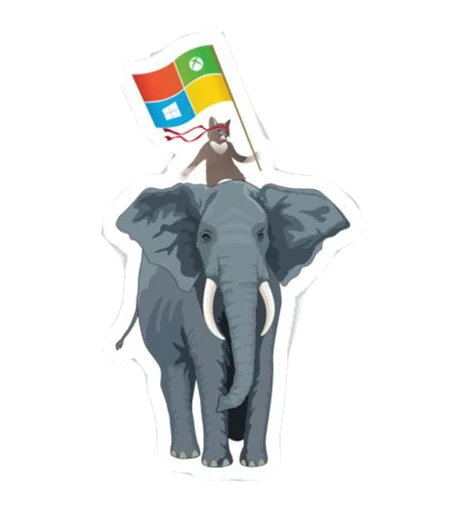 Windows Insider: NinjaCat Windows Insider: NinjaCat -