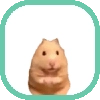 CHIQUITOS CHIQUITOS - мультфильм