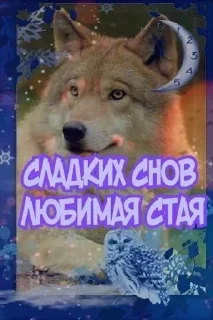 Стикер Больше стикеров 👉🏻 @stickertg4 - 9
