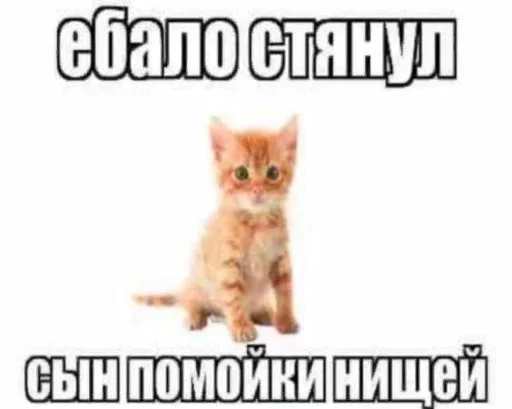 Больше стикеров 👉🏻 @stickertg4 Больше стикеров 👉🏻 @stickertg4 -