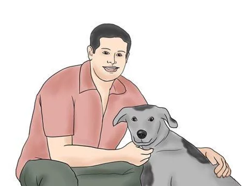 dog dog mammal drawing