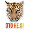 Недомашние животные :: @kgh_moscow Недомашние животные :: @kgh_moscow -