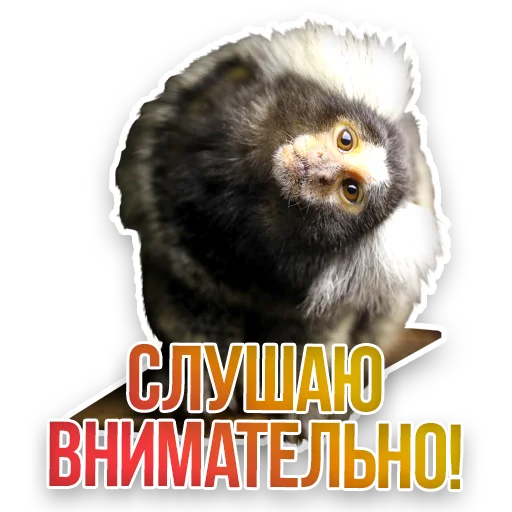 Sticker Недомашние животные :: @kgh_moscow - 0