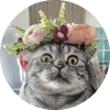 Вукан Вукан -